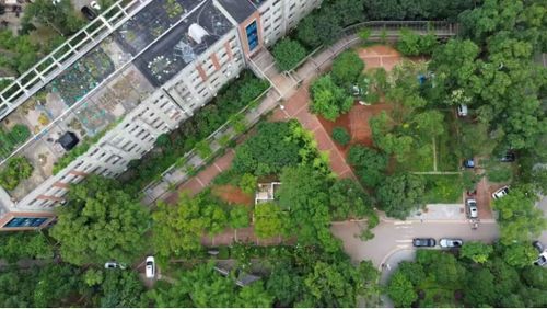 1个月访企拓岗十余次,促进就业,中南林业科技大学自有妙招
