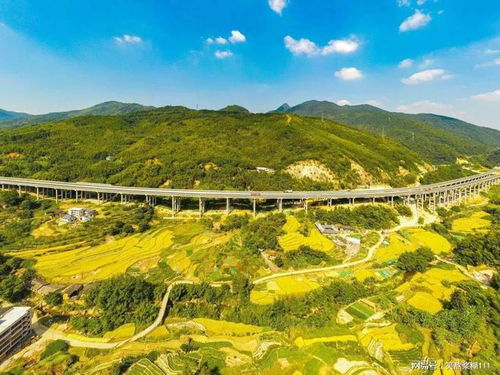 187亿 山西中标公路项目