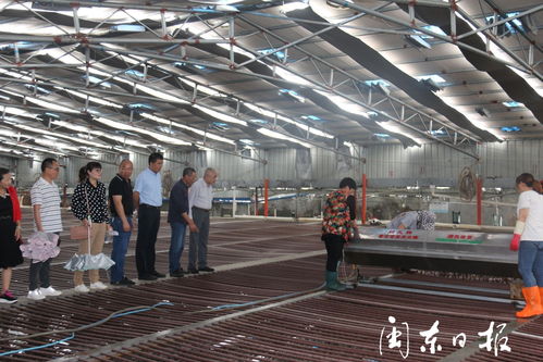 院士八闽行 到霞浦县开展循环水产养殖调研